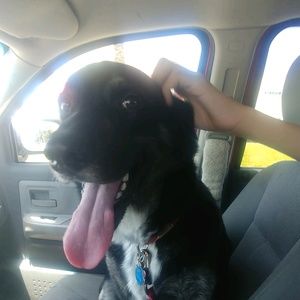 Meet your Posher, Joe